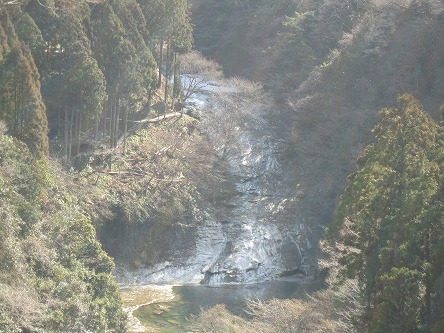 IMG_6868.jpg