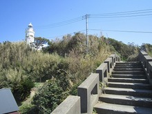 IMG_6933.jpg