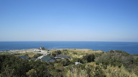 IMG_6936.jpg