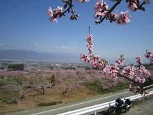 IMG_6951.jpg