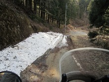 IMG_6976.jpg