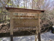 IMG_7019.jpg