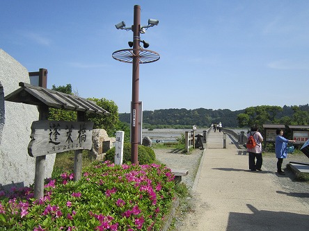 IMG_7034.jpg