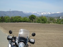 IMG_7053.jpg