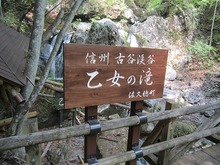 IMG_7126.jpg