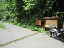 IMG_7140.jpg