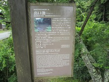 IMG_7293.jpg