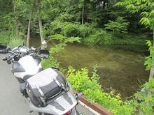 IMG_7294.jpg