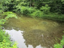 IMG_7295.jpg