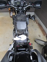 IMG_7308.jpg