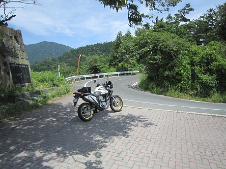 IMG_7325.jpg