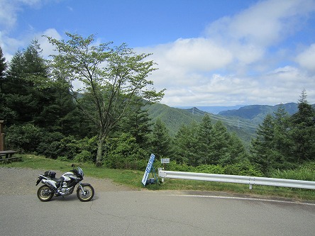 IMG_7351.jpg
