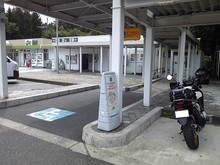 IMG_7391.jpg
