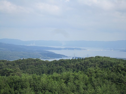 IMG_7452.jpg