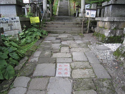 IMG_7561.jpg