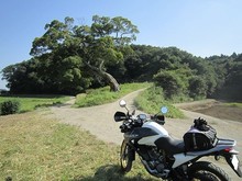 IMG_7666.jpg