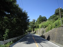 IMG_7689.jpg