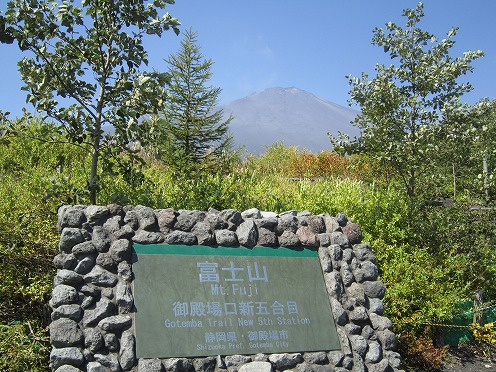 IMG_7695.jpg