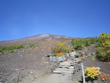 IMG_7703.jpg