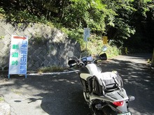 IMG_7717.jpg