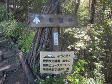 IMG_7720.jpg