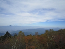 IMG_7758.jpg