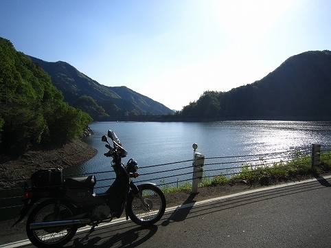 IMG_7882.jpg