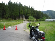 IMG_7920.jpg