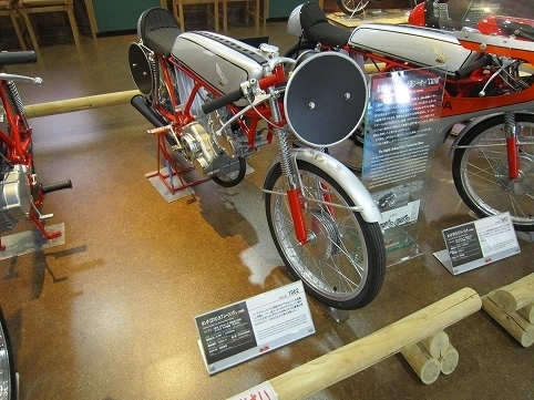 IMG_7936.jpg
