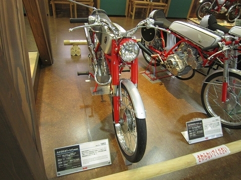 IMG_7937.jpg
