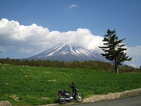 IMG_7958.jpg