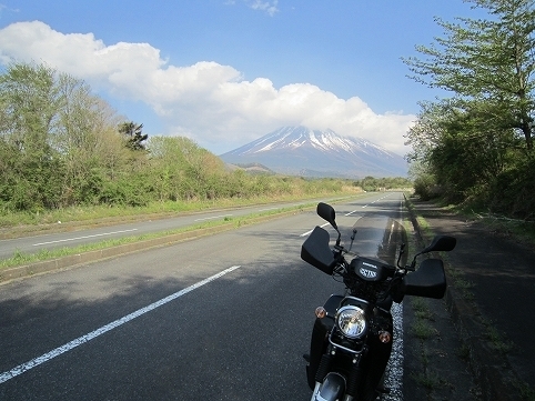 IMG_7960.jpg