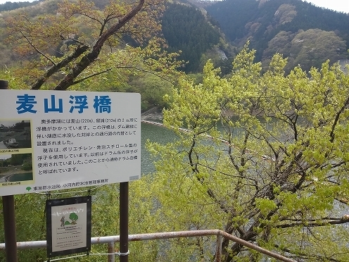 KIMG0207.jpg