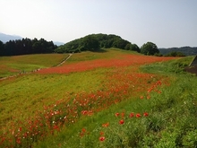 KIMG0250.jpg