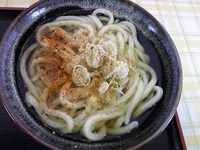 SH3B0193.jpg
