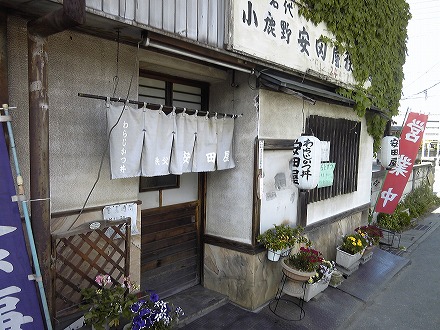 SH3B0232.jpg