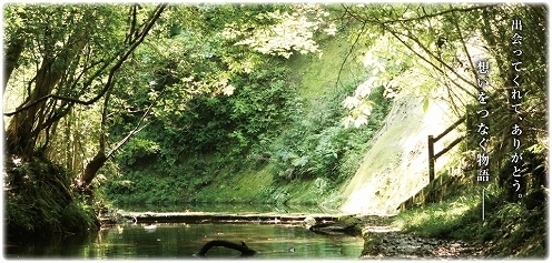 main_pict3 (1).jpg