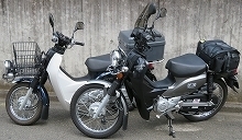 seesaa_profile_icon